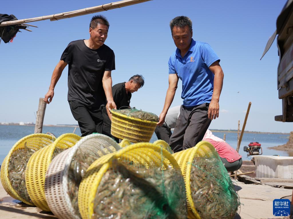 捕鱼达人单机电脑版游戏下载